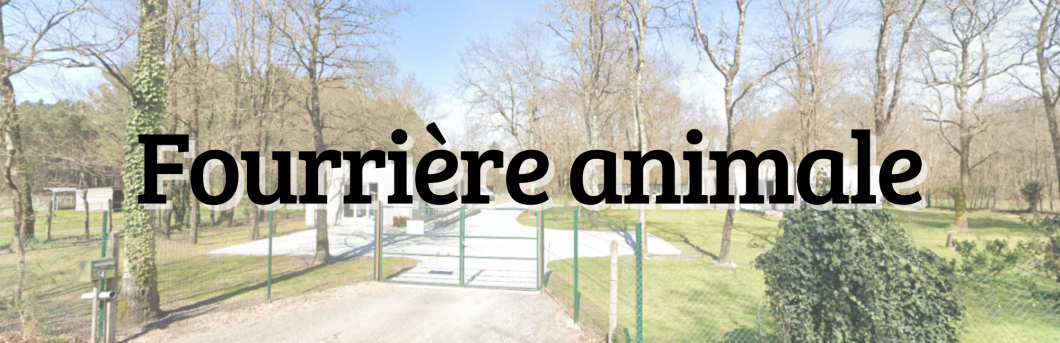 Bande (15).png Bande (15).png