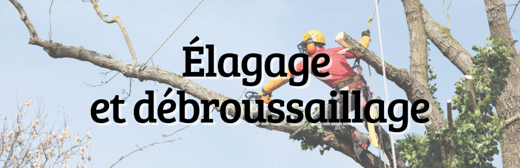 Bande (2).png Bande (2).png