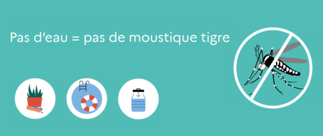 moustiquestigres1500x630-1030x433.png